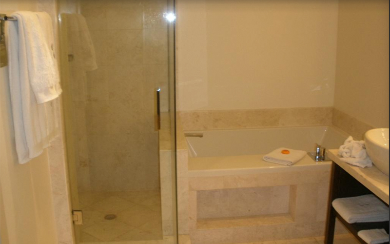 Shower Doors & Bathtub design