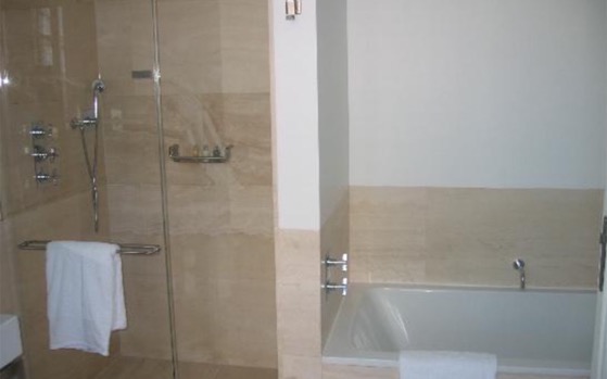 Shower Enclosure &shower head & drop-in Bathtub